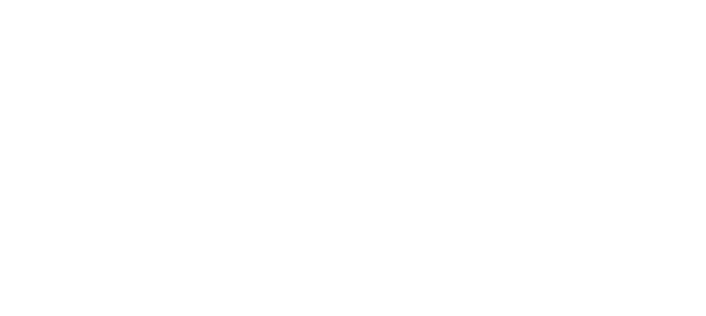 Dlady Cosmetics